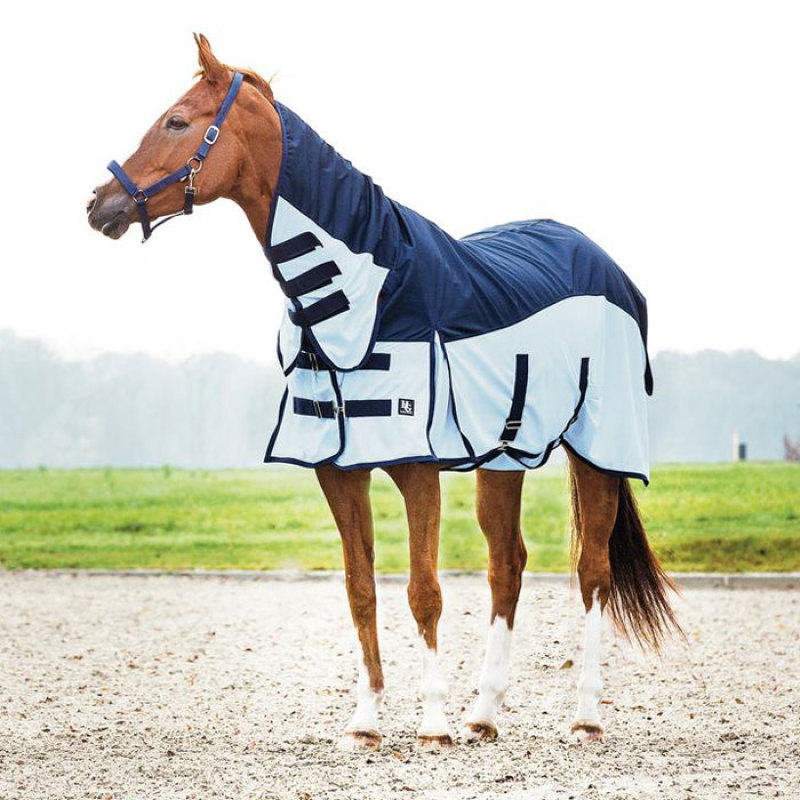 FLUG/REGNT�CKE HG AIMAN