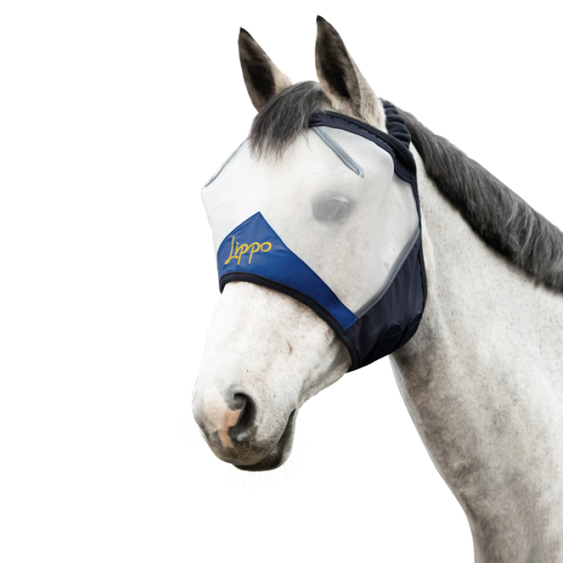 FLUGHUVA LIPPO PRO UTAN �RON