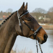 BETTLST TRNS GLOBUS WINNETOU SVART