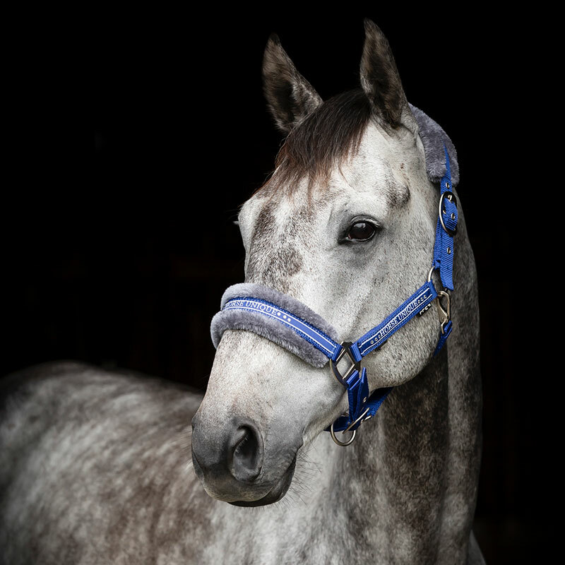 GRIMMA HORSE UNIQUE ROYALBLÅ