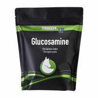 TRIKEM GLUCOSAMINE 1 KG