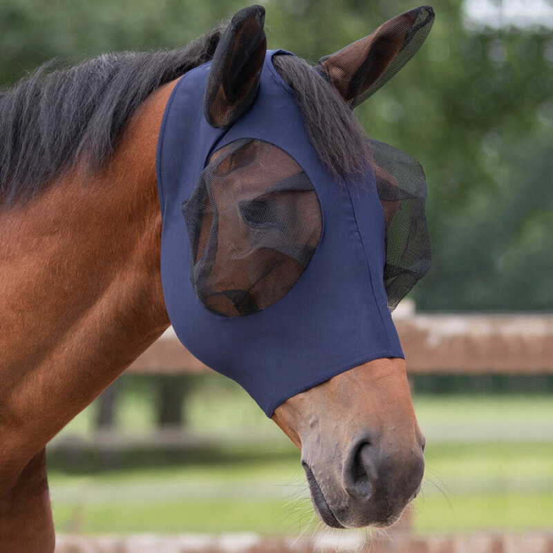 FLUGHUVA QHP SUPER BUG NAVY