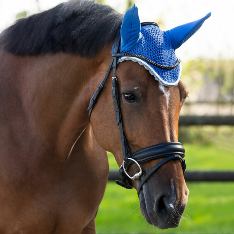 RIDHUVA QHP KOBOLTBL�