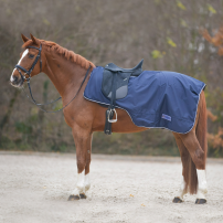 RIDTCKE WALDHAUSEN COMFORT NAVY