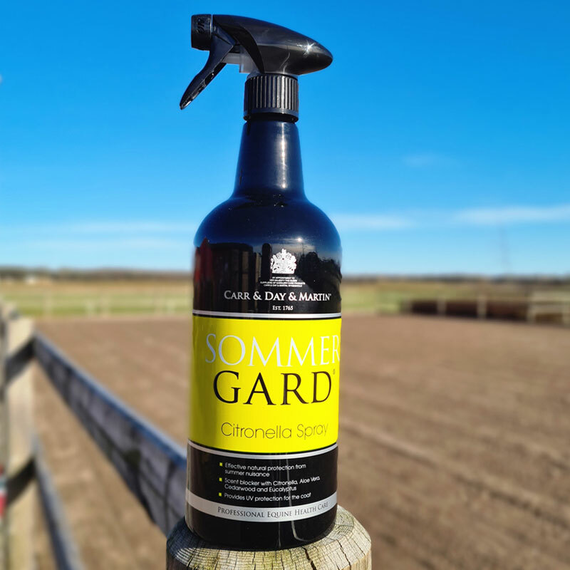 CARR & DAY & MARTIN SOMMERGARD