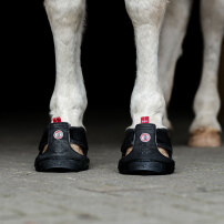 EQUINE FUSION RIDBOOTS TREKKING JOGGING SHOE