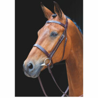 TRNS SHIRES BERRINGTON BRUN