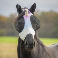 FLUGHUVA QHP UNICORN