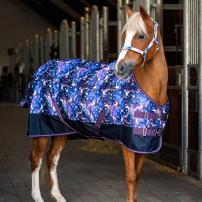 TCKE HG JOSH 100 G DUTCH BLUE