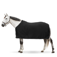 FLEECETCKE LIPPO COMPETITION