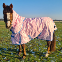 T�CKE LIPPO LIMITED EDITION 100 G ROSA