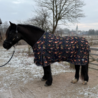 T�CKE LIPPO LIMITED EDITION 100 G TELLWELL 