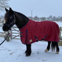 T�CKE DJURG�RDEN LIMITED EDITION 50 G BURGUNDY