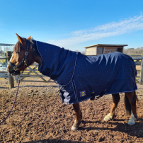 T�CKE DJURG�RDEN LIMITED EDITION 50 G NAVY