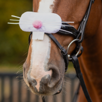 NOSBAND QHP P�SKHARE