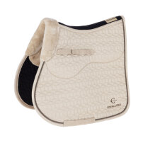 SCHABRAK COVALLIERO BEIGE ALLROUND