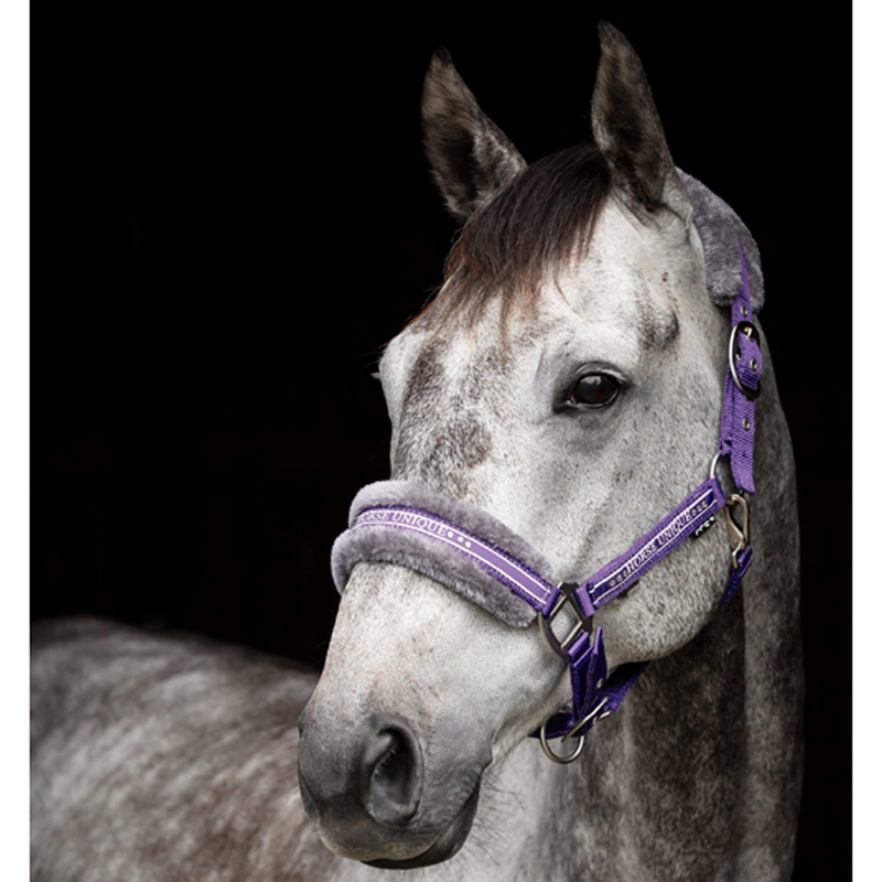 GRIMMA HORSE UNIQUE LILA