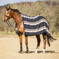 PL�D HG TEDDYFLEECE