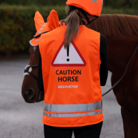 REFLEXV�ST EQUI-FLECTOR ORANGE