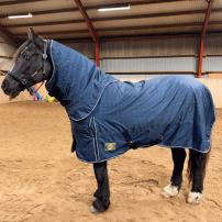 STALLT�CKE DJURG�RDEN LIMITED EDITION 50 G NAVY
