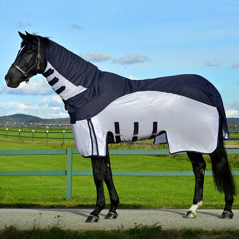 FLUG/REGNT�CKE LIPPO